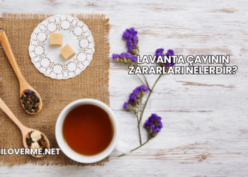 Lavanta Çayının Zararları Nelerdir?