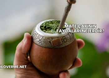Mate Çayının Faydaları Nelerdir?