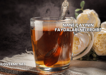 Nane Çayının Faydaları Nelerdir?