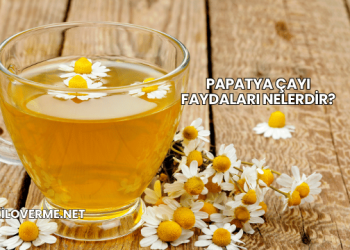Papatya Çayı Faydaları Nelerdir?