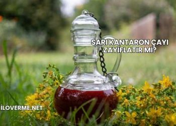 Sarı Kantaron Çayı Zayıflatır mı?