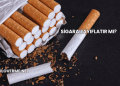 Sigara Zayıflatır mı?