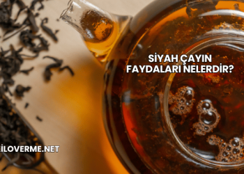 Siyah Çayın Faydaları Nelerdir?