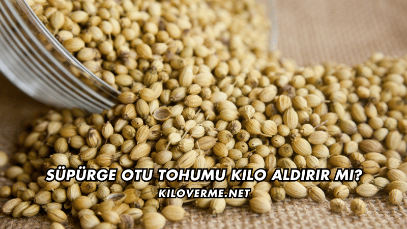 Süpürge Otu Tohumu Kilo Aldırır mı