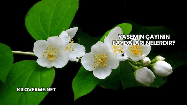 Yasemin Çayının Faydaları Nelerdir?