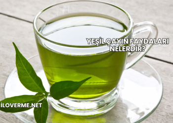 Yeşil Çayın Faydaları Nelerdir?