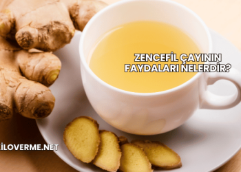 Zencefil Çayının Faydaları Nelerdir?