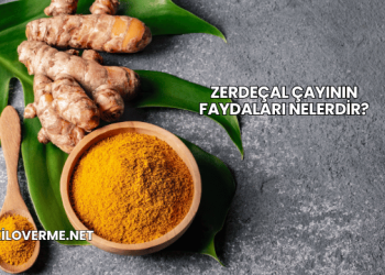 Zerdeçal Çayının Faydaları Nelerdir?