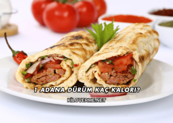 1 Adana Dürüm Kaç Kalori?