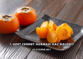 1 Adet Cennet Hurması Kaç Kalori?