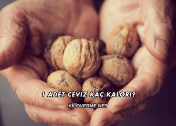 1 Adet Ceviz Kaç Kalori?