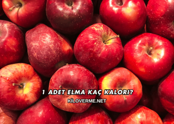 1 Adet Elma Kaç Kalori?