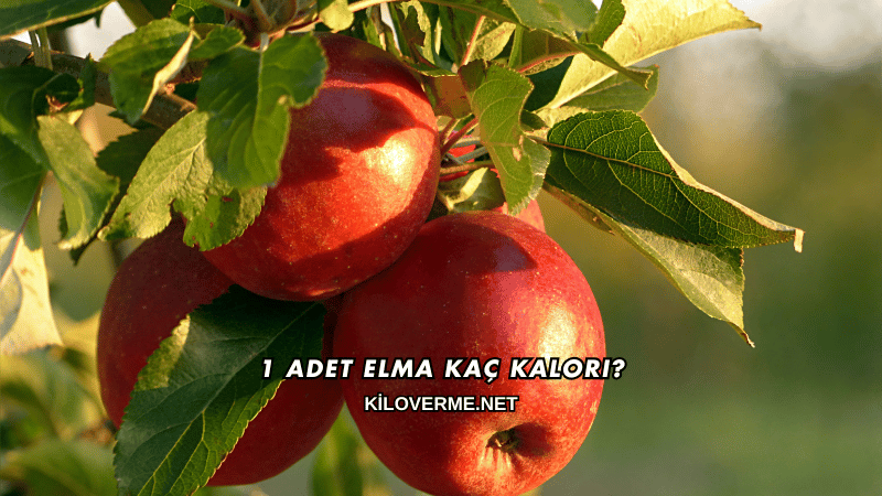 1 Adet Elma Kaç Kalori?