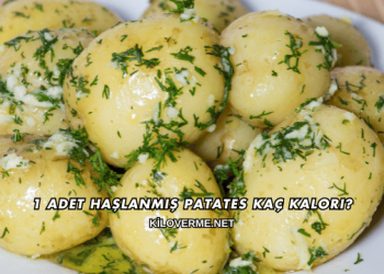 1 Adet Haşlanmış Patates Kaç Kalori?