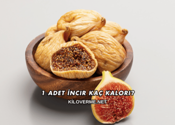 1 Adet İncir Kaç Kalori?
