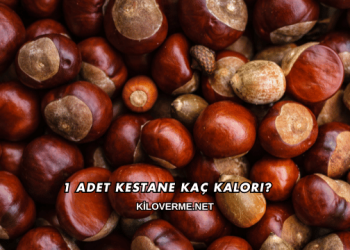 1 Adet Kestane Kaç Kalori?
