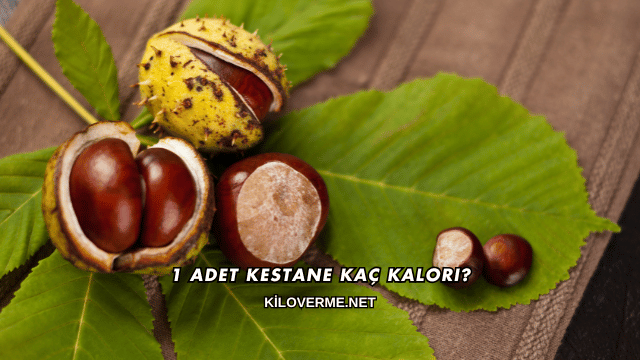 1 Adet Kestane Kaç Kalori?