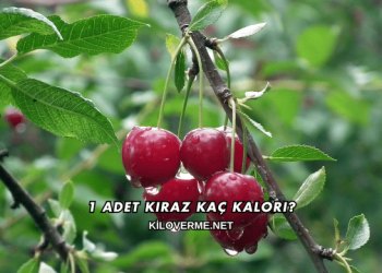 1 Adet Kiraz Kaç Kalori?