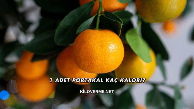 1 Adet Portakal Kaç Kalori?