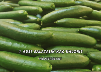 1 Adet Salatalık Kaç Kalori?