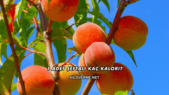 1 Adet Şeftali Kaç Kalori?