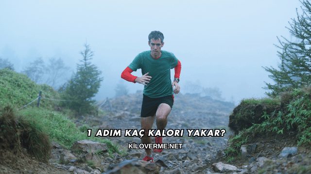 1 Adım Kaç Kalori Yakar?