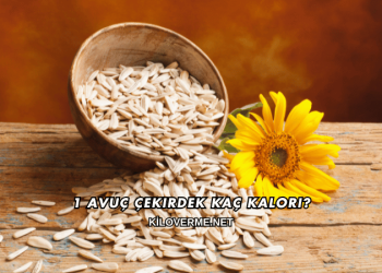 1 Avuç Çekirdek Kaç Kalori?