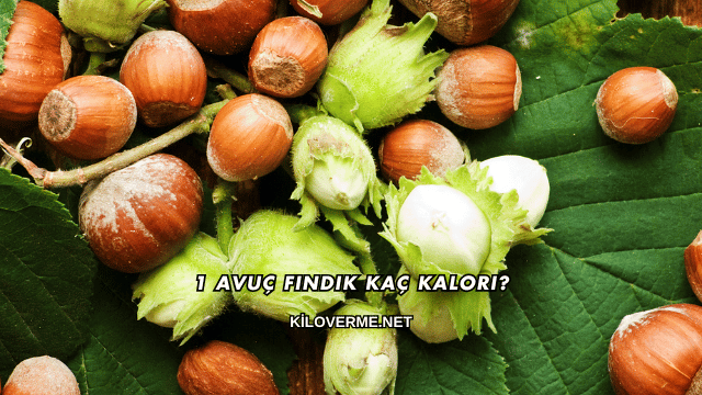 1 Avuç Fındık Kaç Kalori?