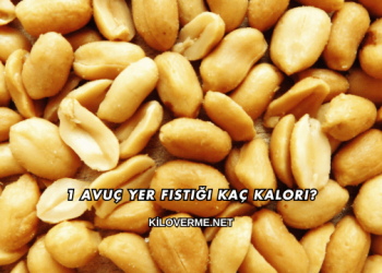 1 Avuç Yer Fıstığı Kaç Kalori?