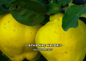 1 Ayva Kaç Kalori?