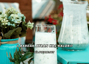 1 Bardak Ayran Kaç Kalori?