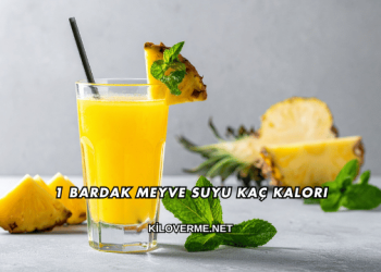 1 Bardak Meyve Suyu Kaç Kalori