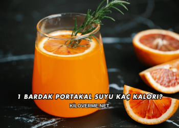 1 Bardak Portakal Suyu Kaç Kalori?