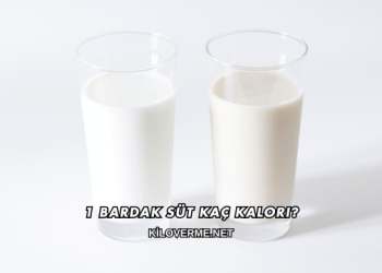 1 Bardak Süt Kaç Kalori?