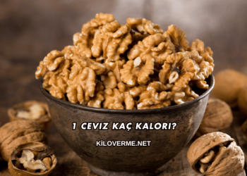 1 Ceviz Kaç Kalori?