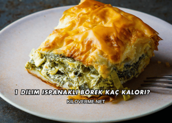 1 Dilim Ispanaklı Börek Kaç Kalori?