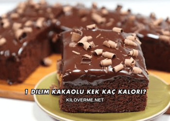 1 Dilim Kakaolu Kek Kaç Kalori?