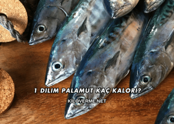 1 Dilim Palamut Kaç Kalori?