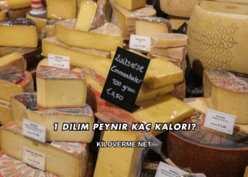 1 Dilim Peynir Kaç Kalori?