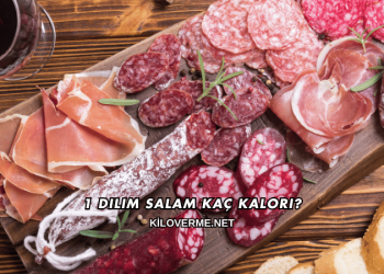 1 Dilim Salam Kaç Kalori?