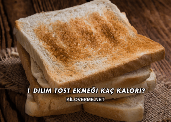 1 Dilim Tost Ekmeği Kaç Kalori?