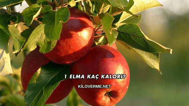 1 Elma Kaç Kalori?