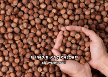 1 Fındık Kaç Kalori?