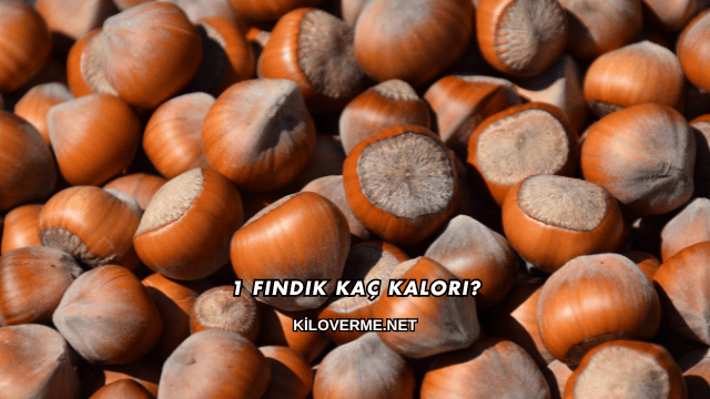1 Fındık Kaç Kalori?