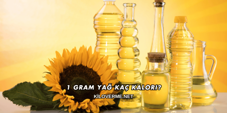 1 Gram Yağ Kaç Kalori?