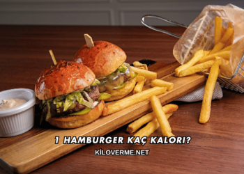 1 Hamburger Kaç Kalori?