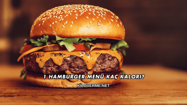 1 Hamburger Menü Kaç Kalori?