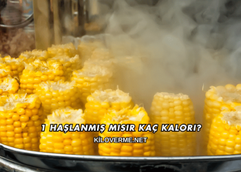 1 Haşlanmış Mısır Kaç Kalori?