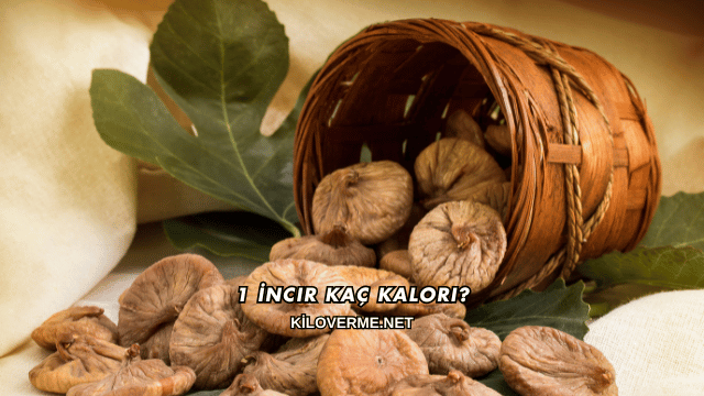 1 İncir Kaç Kalori?