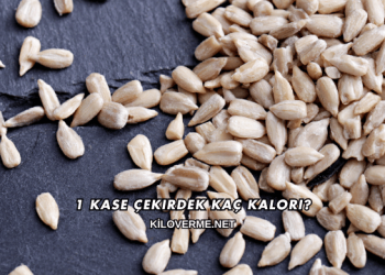 1 Kase Çekirdek Kaç Kalori?